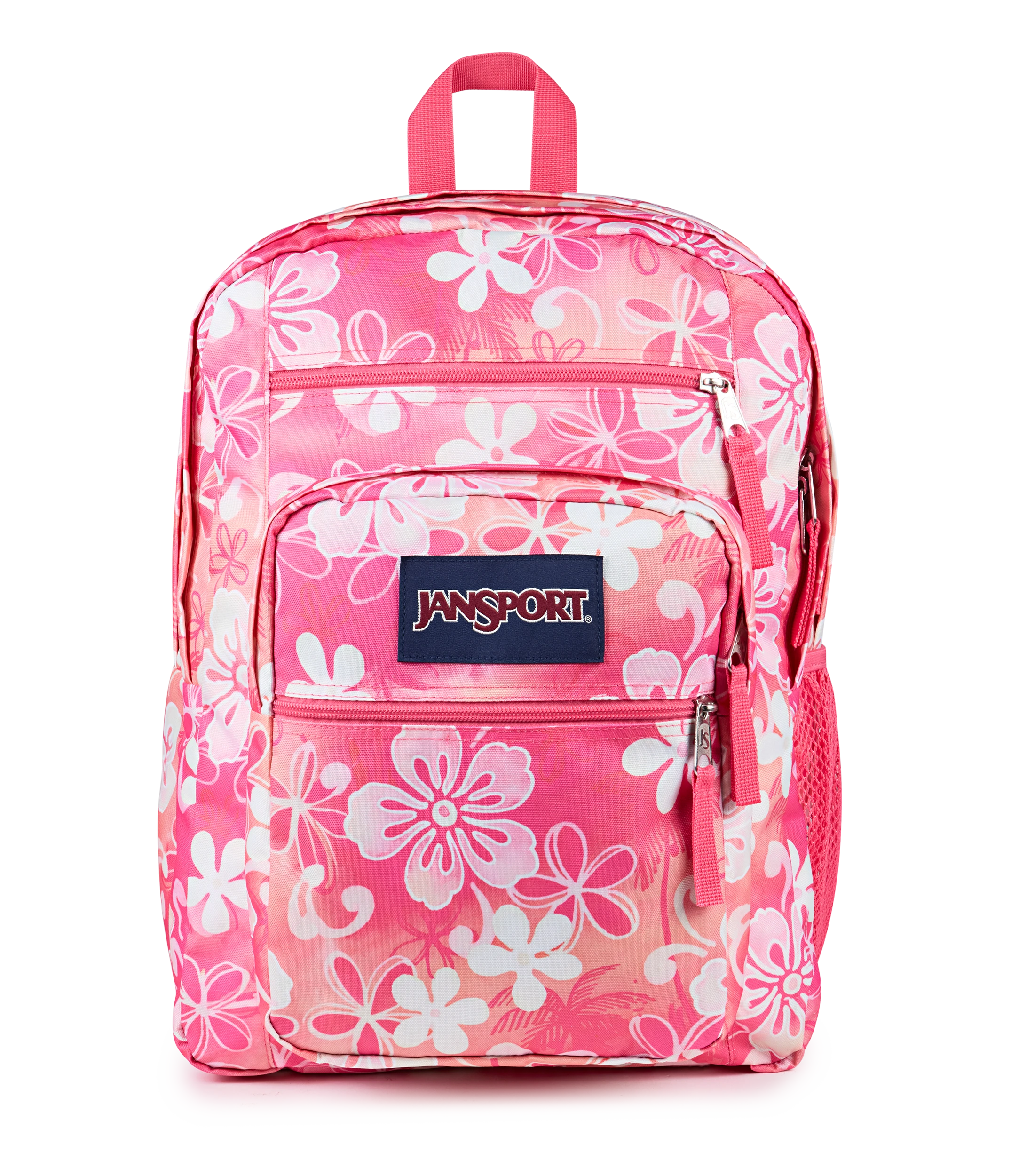 Big Student - Hiblisscus
